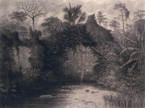 西アフリカのビアフラ湾の眺め、1877年（紙に木炭） 作： Emma Sandys